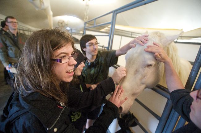 Cavalia ouvre ses portes à des étudiants de Curé-Antoine Labelle