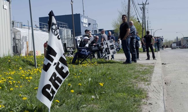 Mapei ferme deux divisions