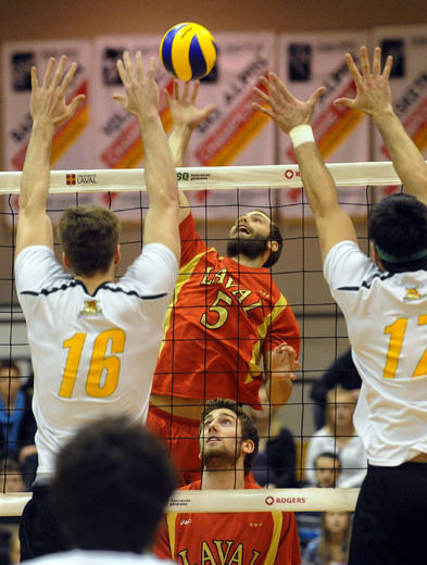 Le volleyball, un sport en renaissance
