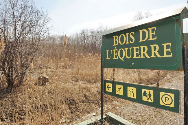 La Corporation déplore le statu quo