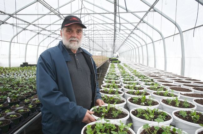 Le travail syndiqué chez les maraîchers va faire monter les prix