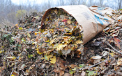 Savoir bien se débarrasser des feuilles mortes