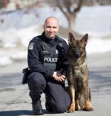 Un maître-chien appréhende quatre suspects dans la même soirée