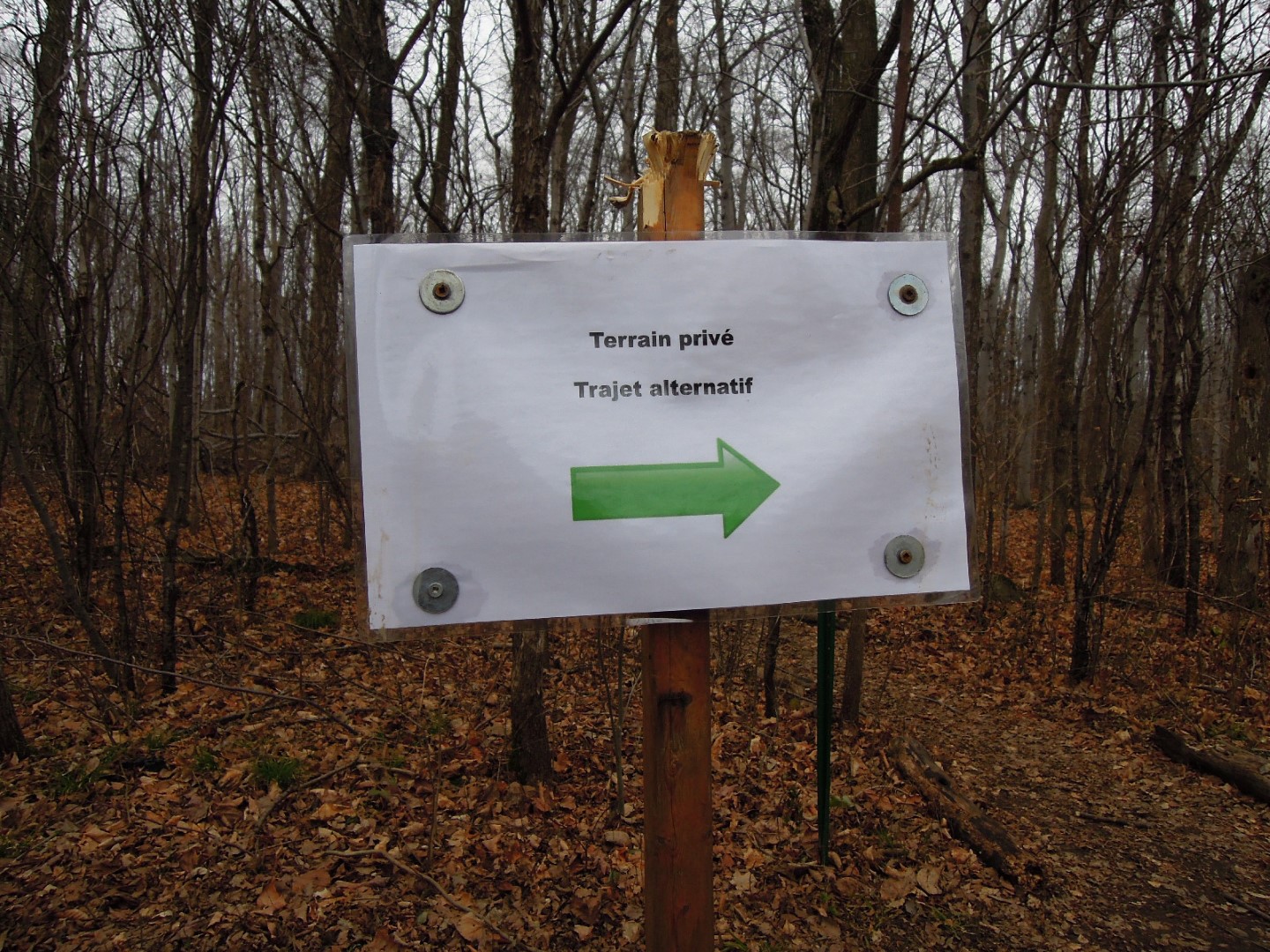 Le Bois de l’Équerre ferme un sentier