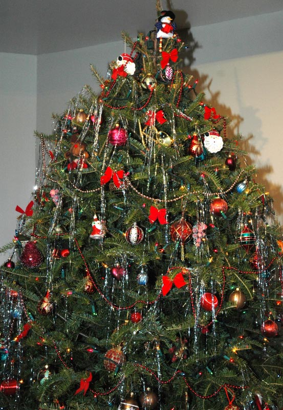 Collecte spéciale de sapins de Noël