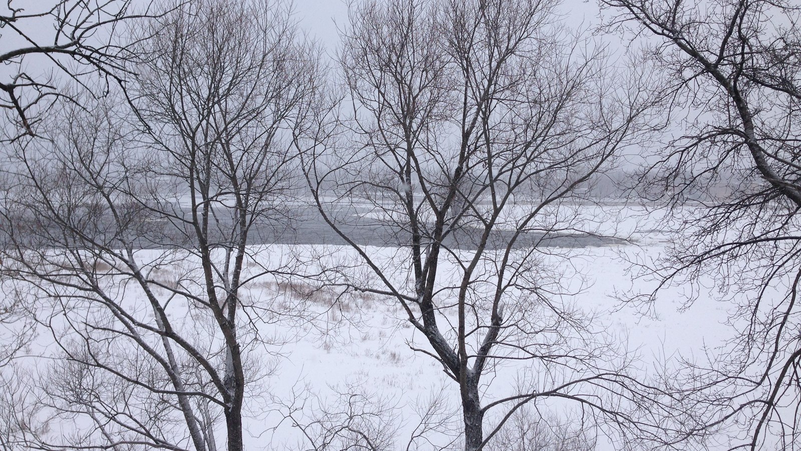 Un ruisseau sur la rivière des Prairies