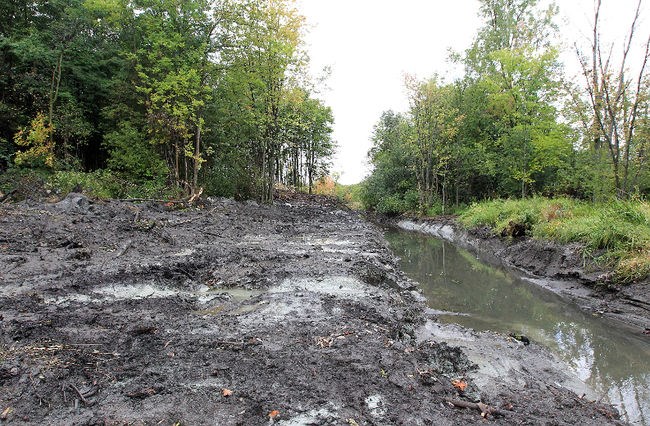 Plus de 30 000 $ en pénalités à la Ville de Laval pour le saccage du cours d'eau Sainte-Rose