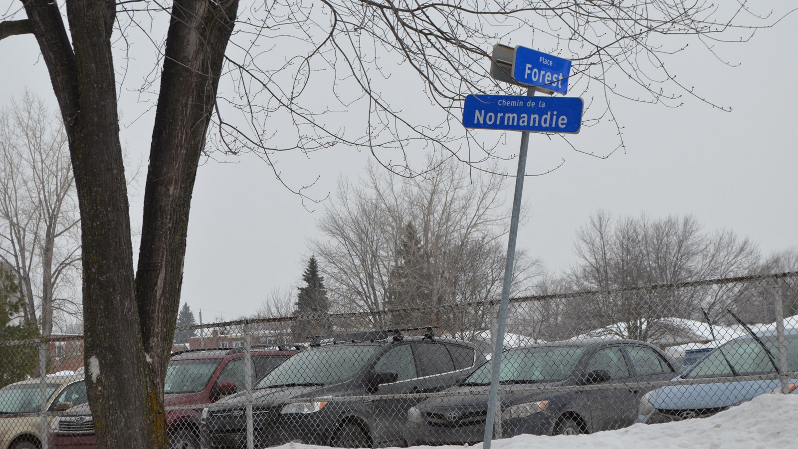 50 000$ de vol dans des SAQ : deux hommes arrêtés à Laval