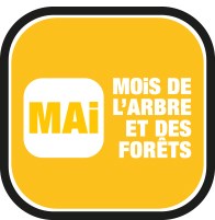 Mois de l'arbre et des forêts 2015 - De nombreuses activités dans le cadre du mois de l'arbre et des forêts