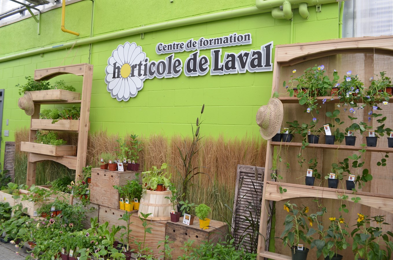 Le centre de formation horticole de Laval organise une vente tous les ans.