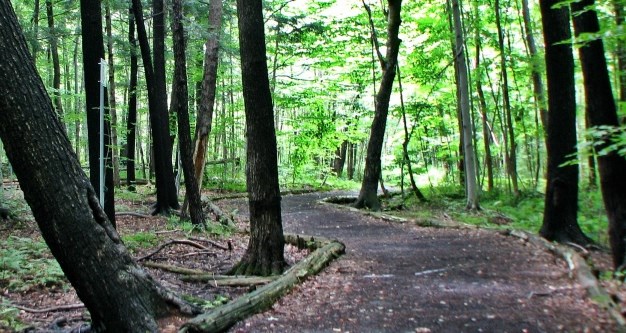  Laval est l'hôte de la 12e édition de la Conférence canadienne sur la forêt urbaine