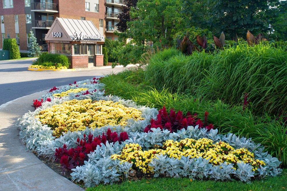 Gens de cœur, gens de fleur ; votre ville vous sollicite!