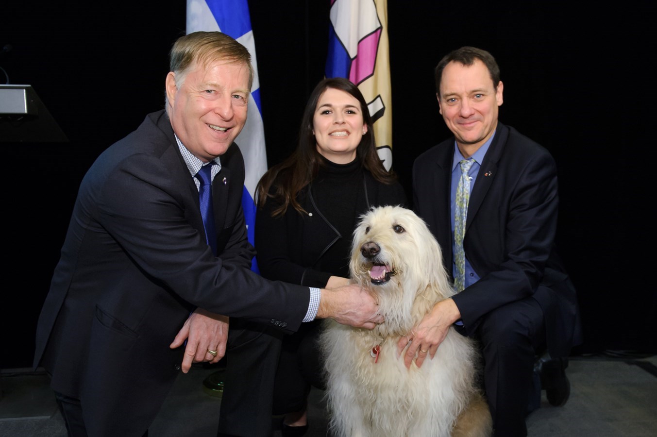 Projet de règlement concernant les animaux à Laval