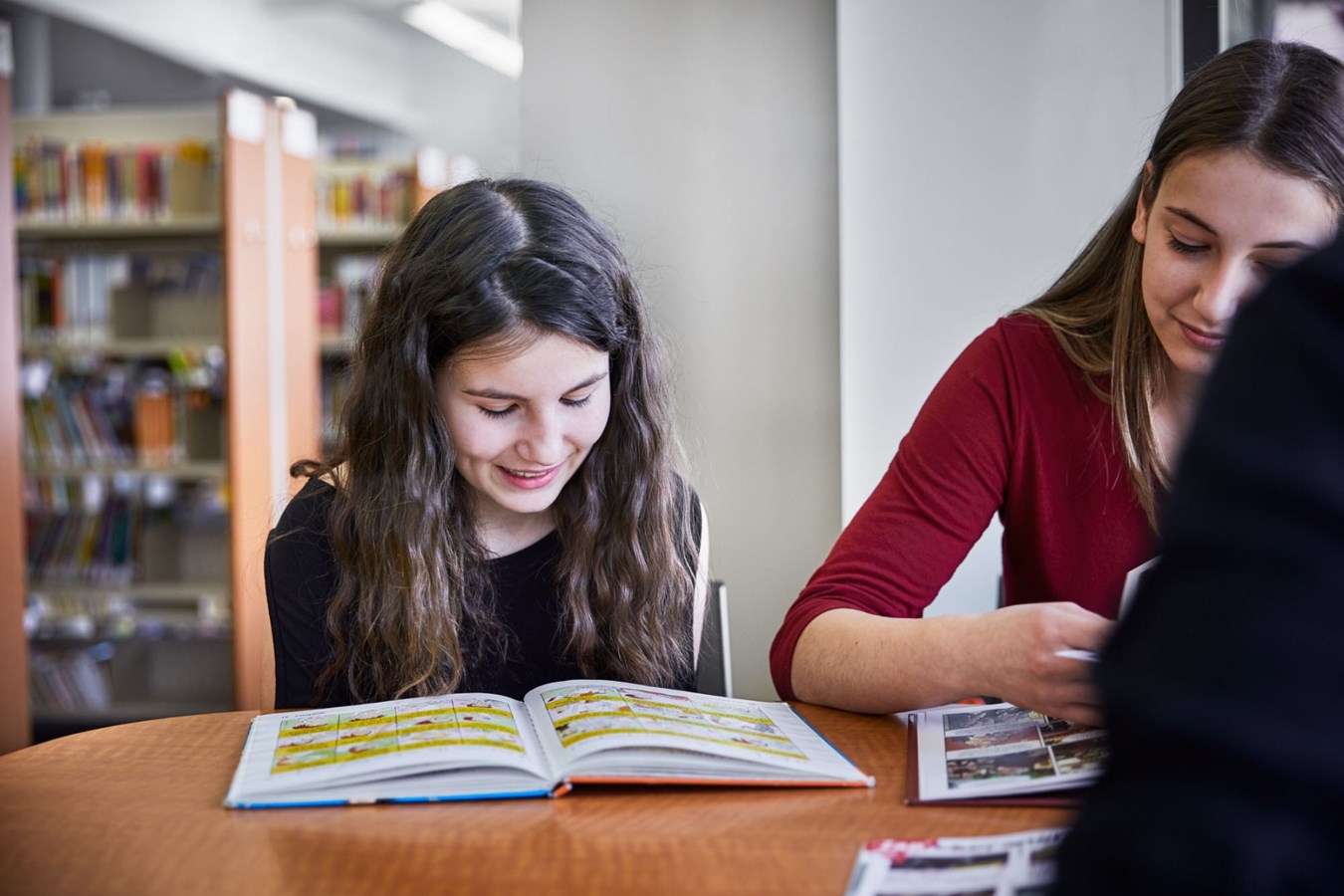 Les Bibliothèques de Laval sont à la recherche de bédéistes