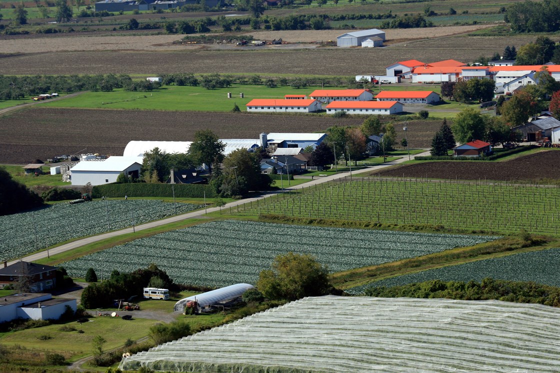 855 000 $ pour le secteur agroalimentaire de Laval