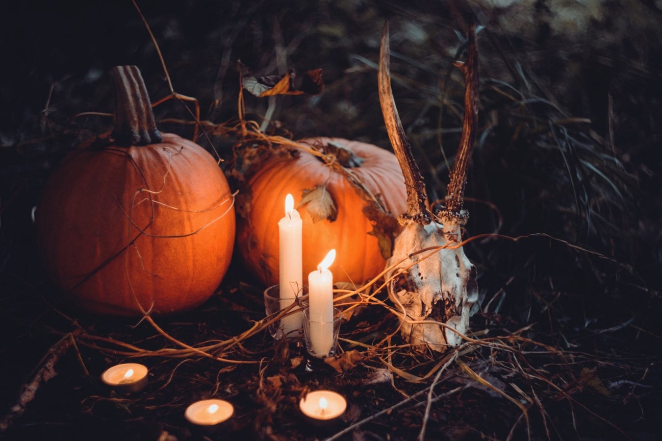 La fièvre de l'Halloween s'empare de Laval