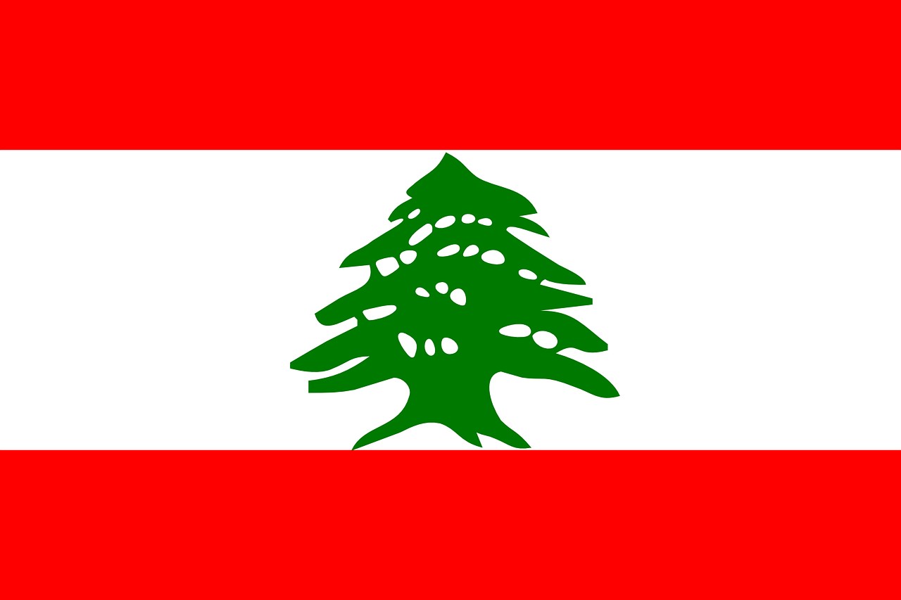 « Du Liban à Laval : parcours de néo-québécois »
