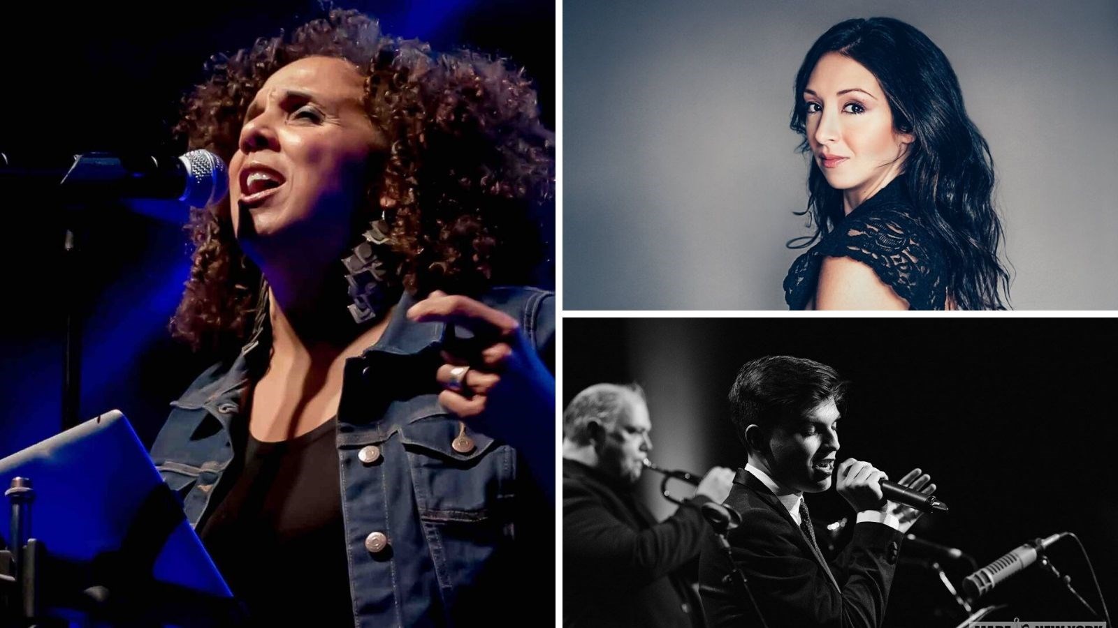Trois ex-finalistes de « La voix » en spectacle à laval