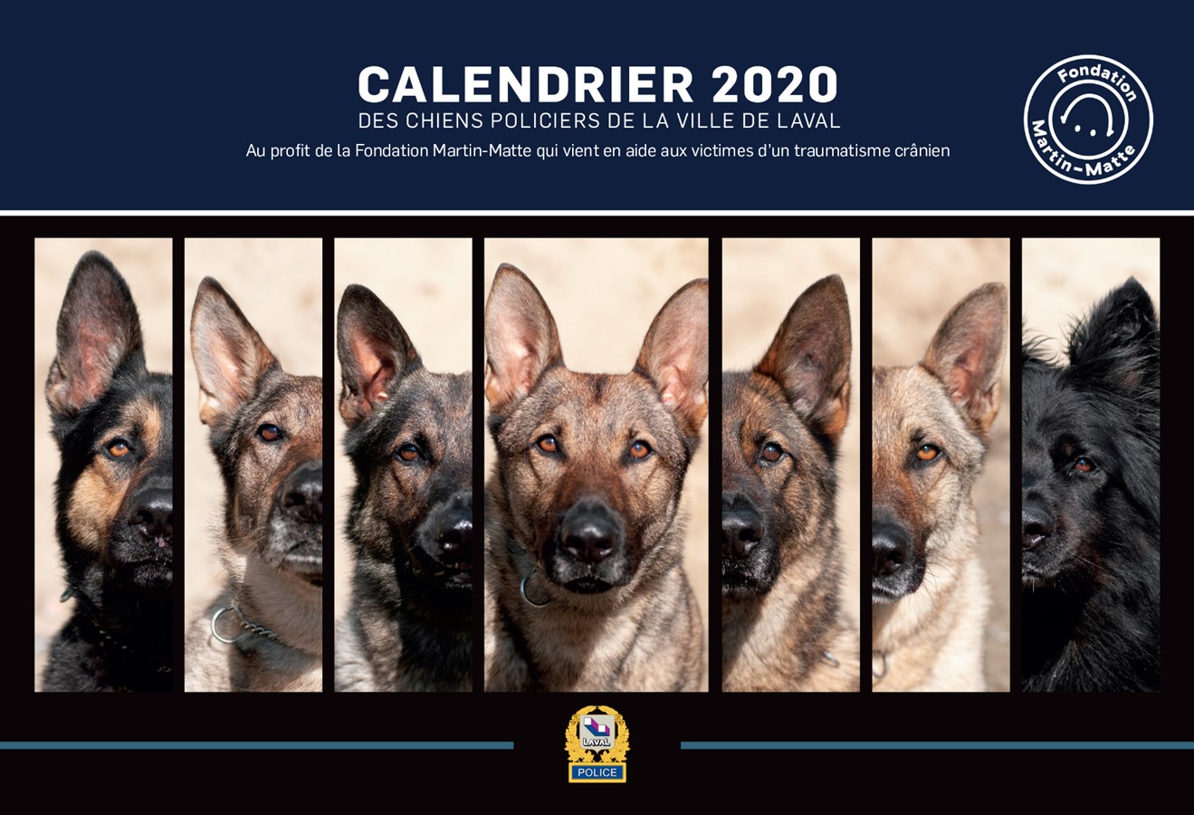 Le calendrier des maîtres-chiens 2020, pour la bonne cause