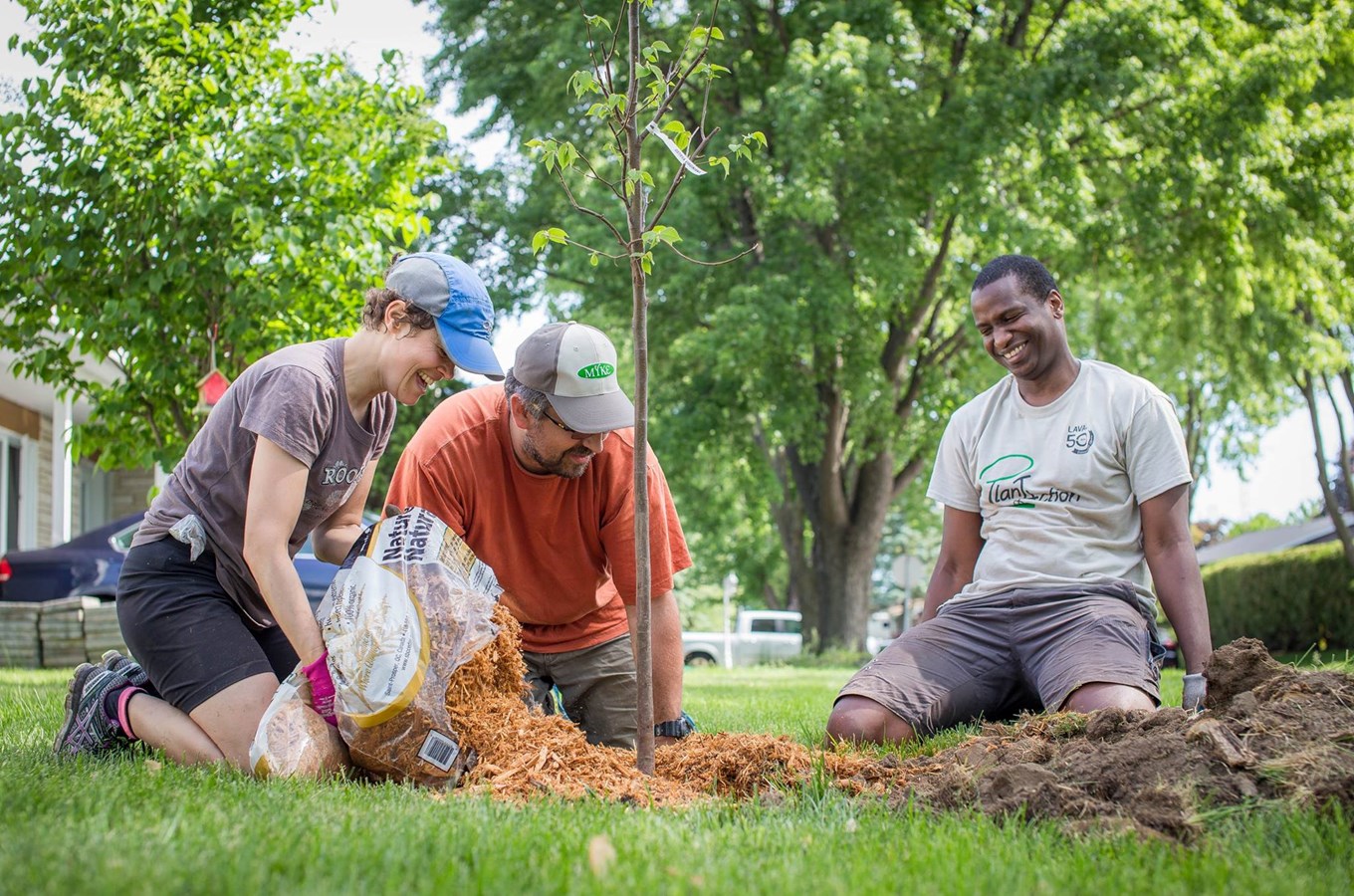 PlantAction lance la 2e édition de la campagne "Jamais sans mon arbre" dans Champenois