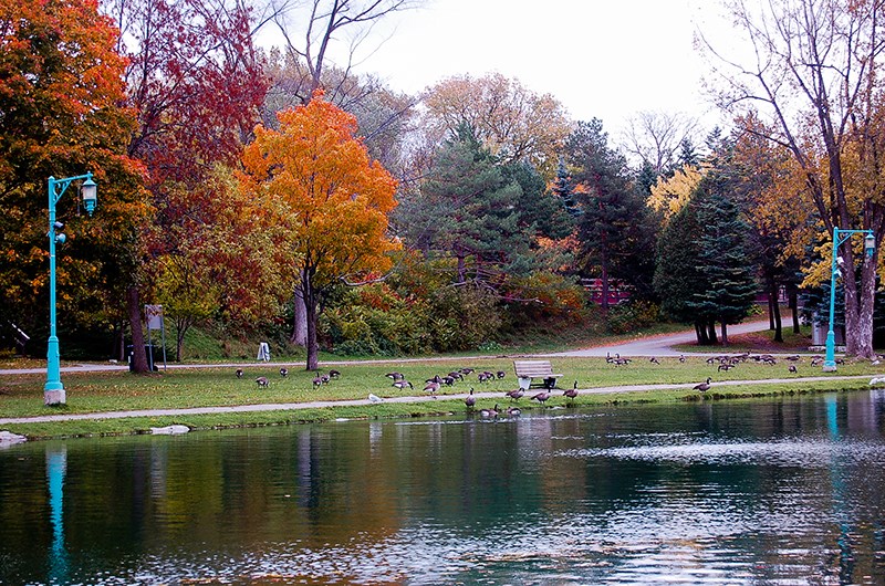Admirer les couleurs d'automne à Laval
