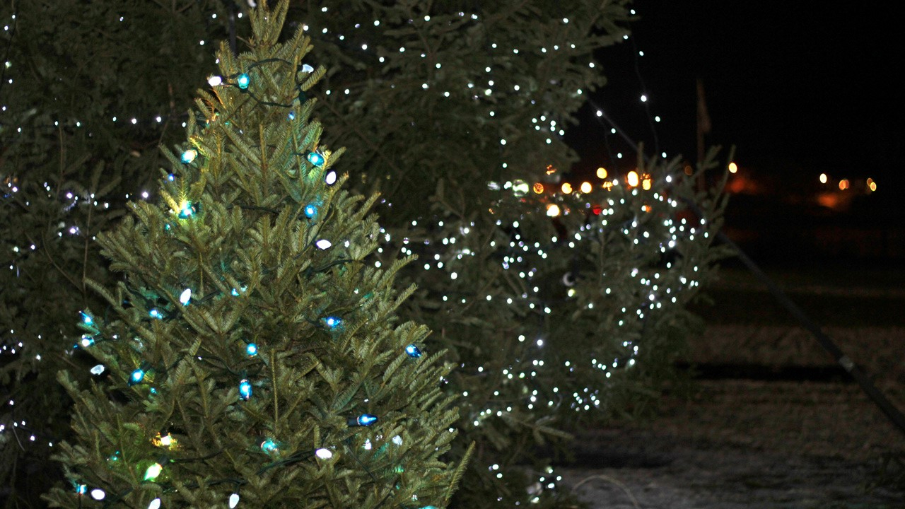 Le Comité de Revitalisation Beauceville et la ville de Beauceville ont procédé ce jeudi à l’illumination du sapin de Noël situé sur l’île Ronde.