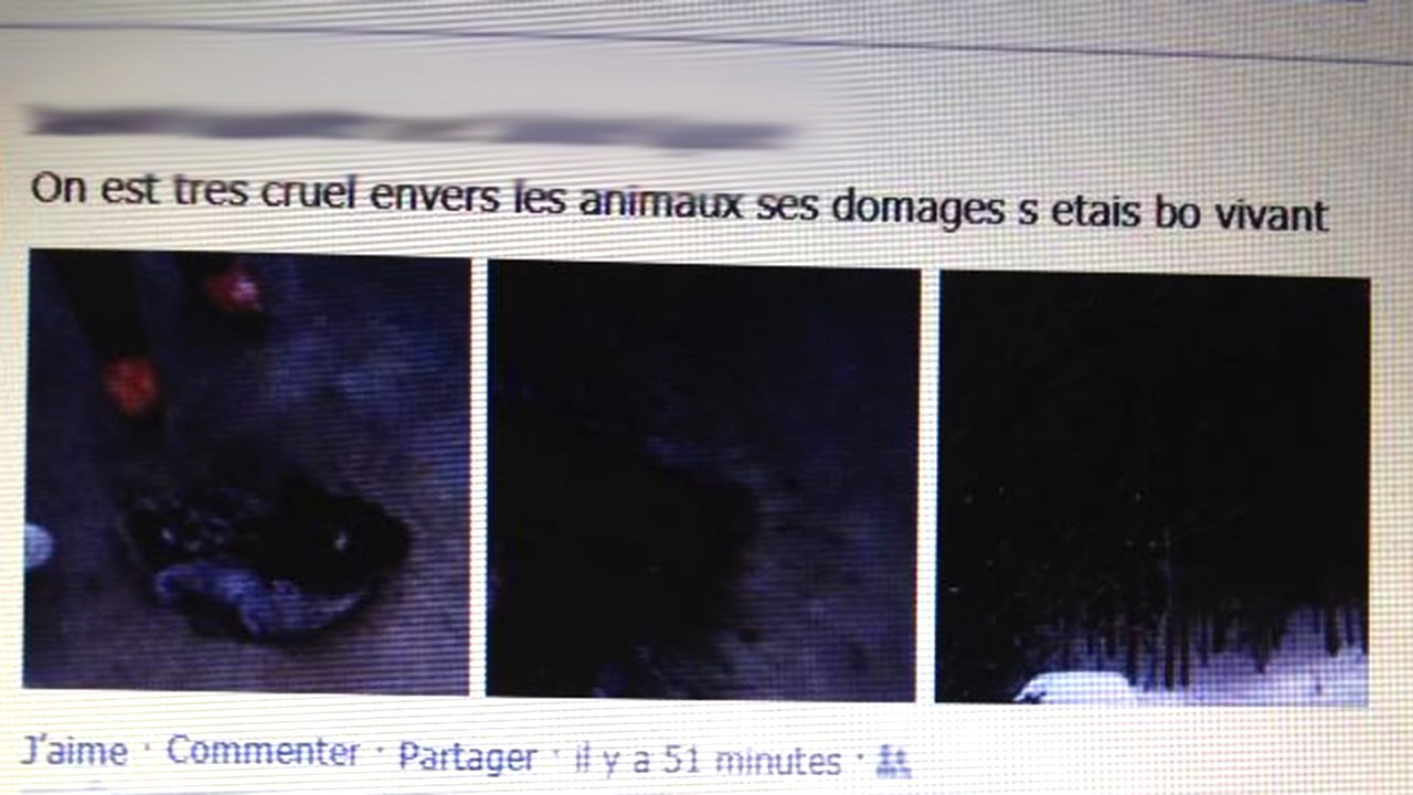 Un des assaillants vantant l'exploit sur Facebook.