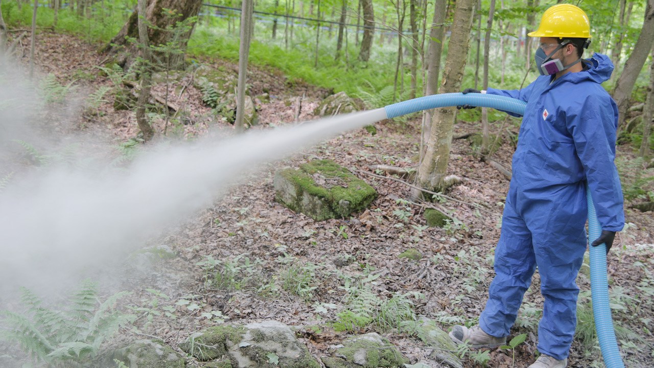 Constitué de tuyaux allant jusqu’à 400 pieds reliés à une unité mobile étanche, le dispositif a été conçu pour ne pas abimer les troncs et racines d’arbres.