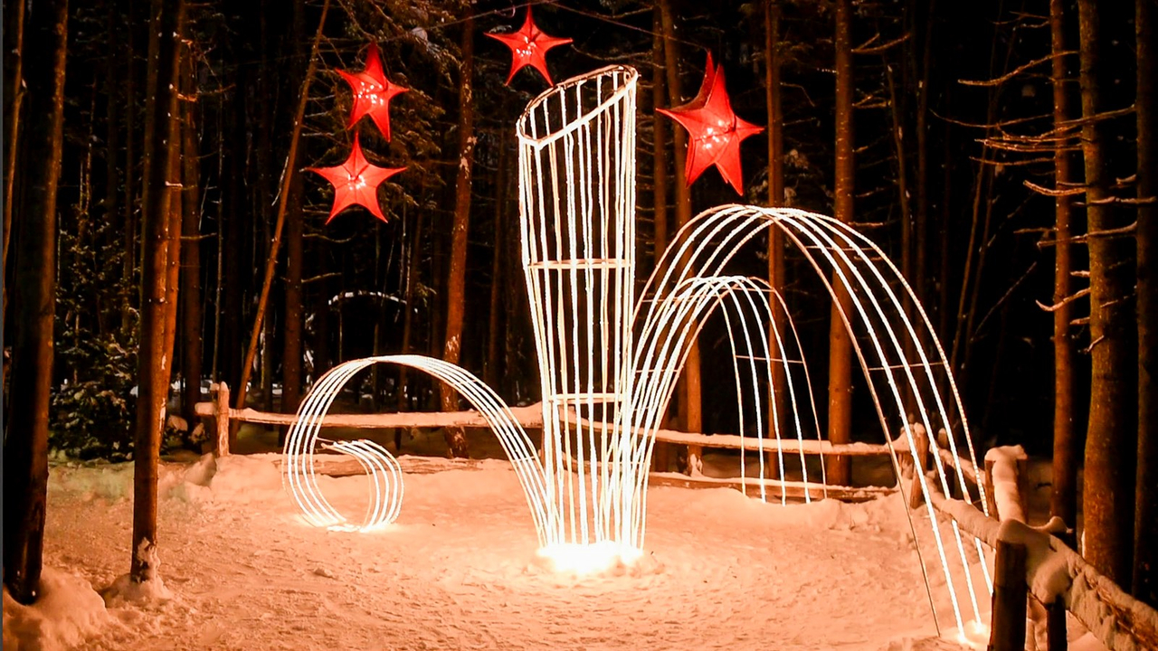 Le Woodooliparc de Scott vous offre une immersion féérique dans la magie de Noël