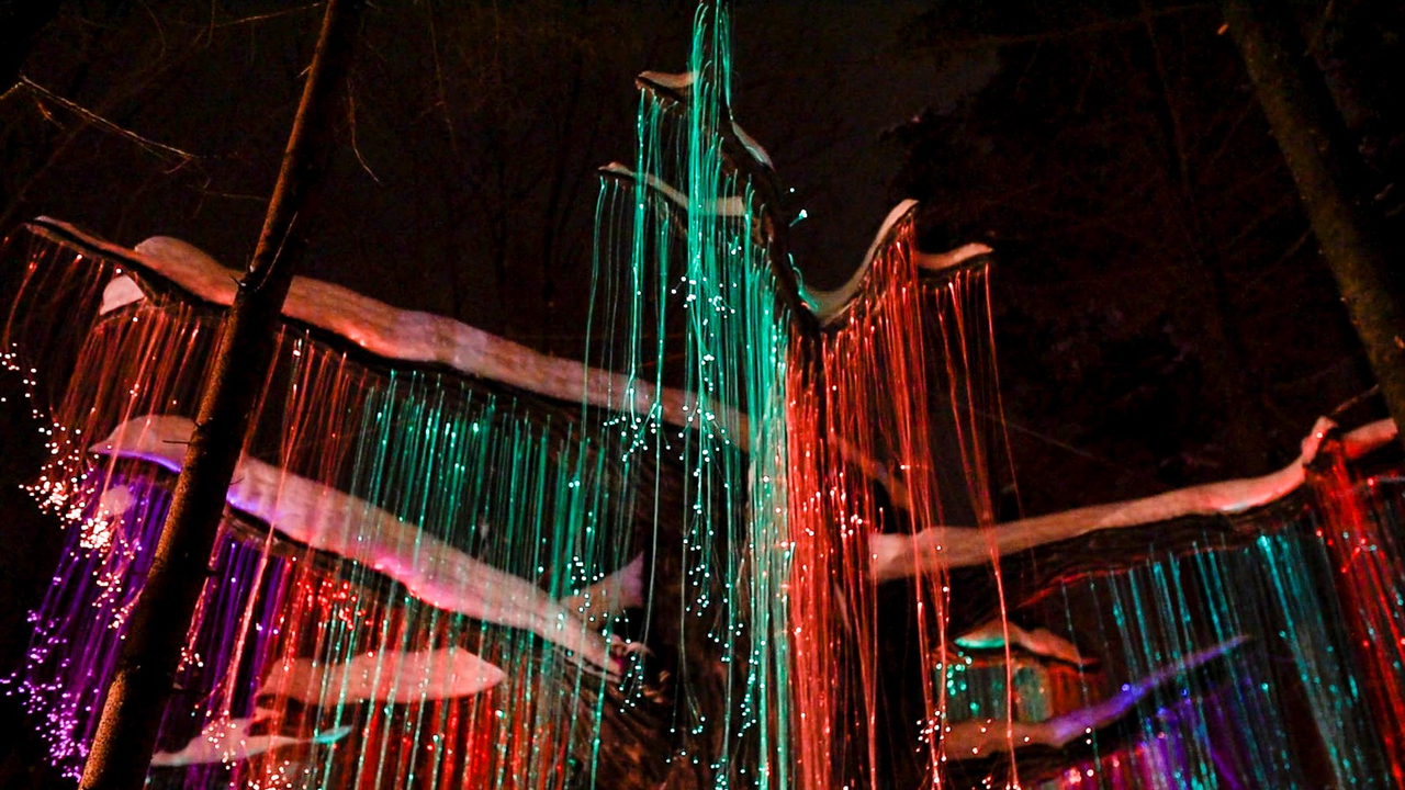 Le Woodooliparc de Scott vous offre une immersion féérique dans la magie de Noël