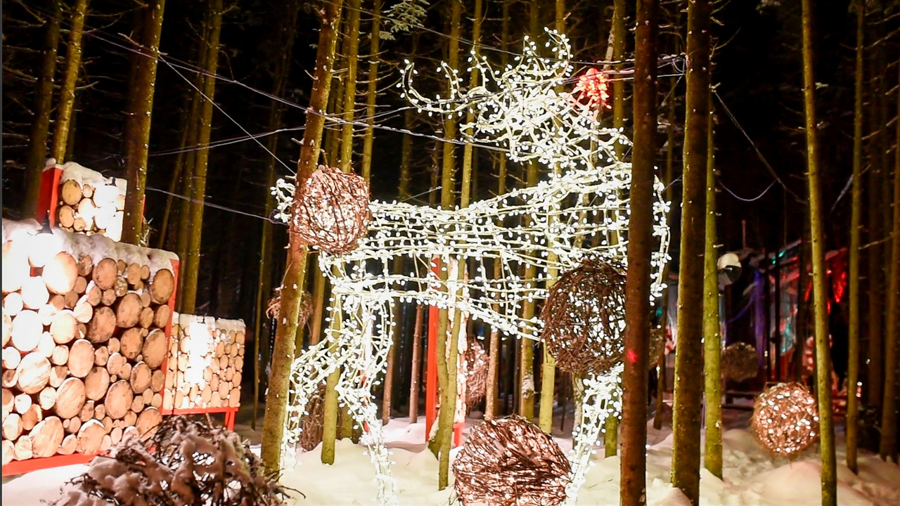 Le Woodooliparc de Scott vous offre une immersion féérique dans la magie de Noël