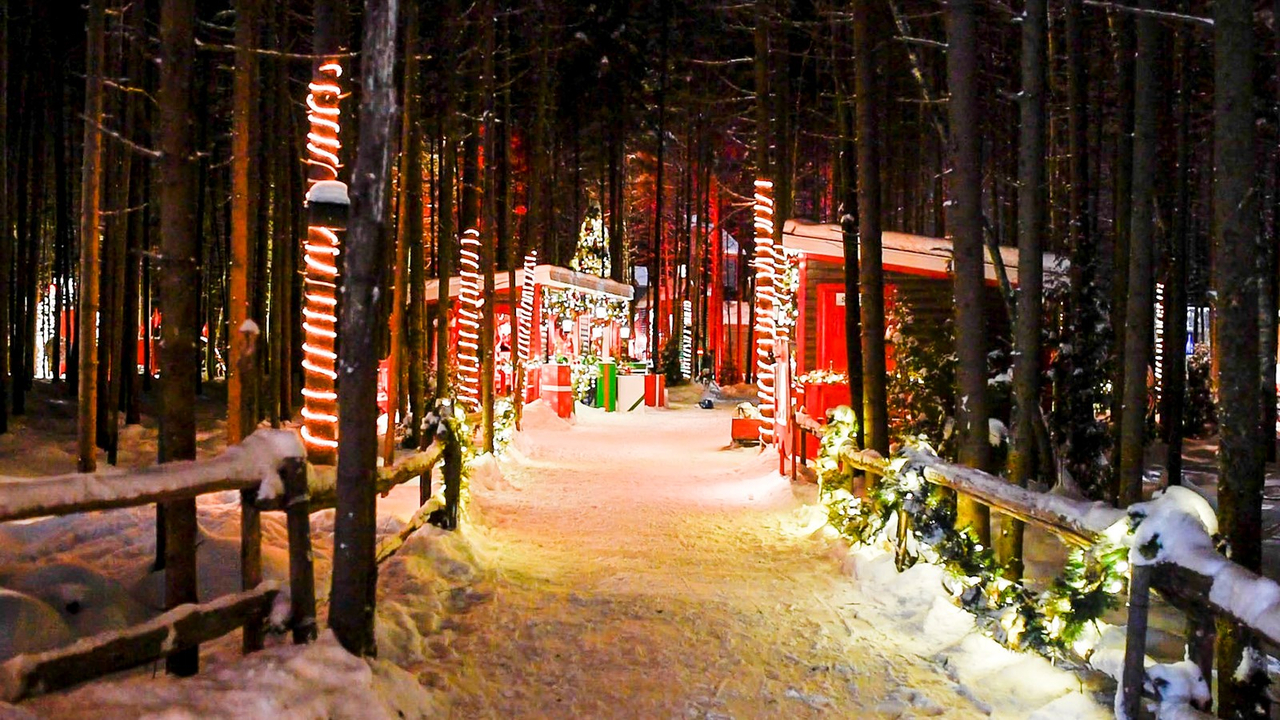Le Woodooliparc de Scott vous offre une immersion féérique dans la magie de Noël