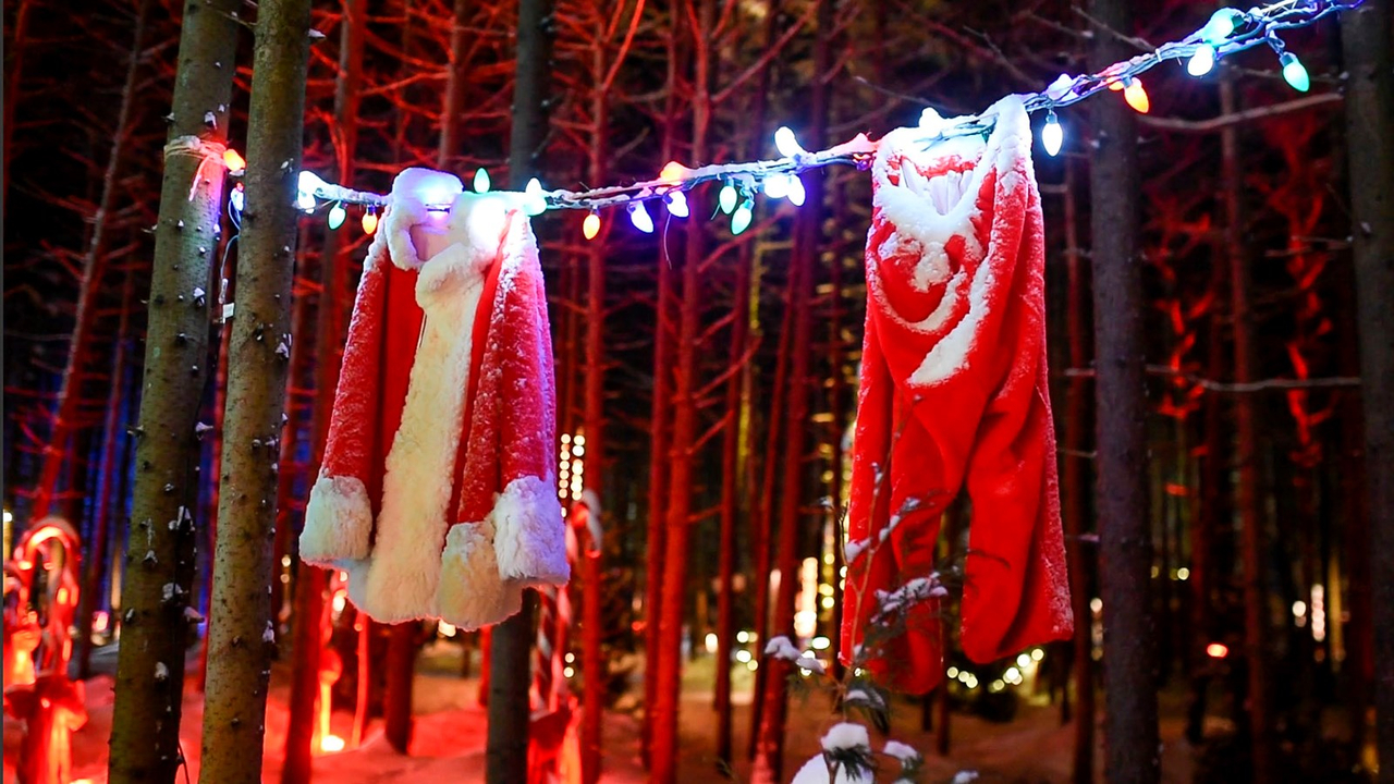 Le Woodooliparc de Scott vous offre une immersion féérique dans la magie de Noël