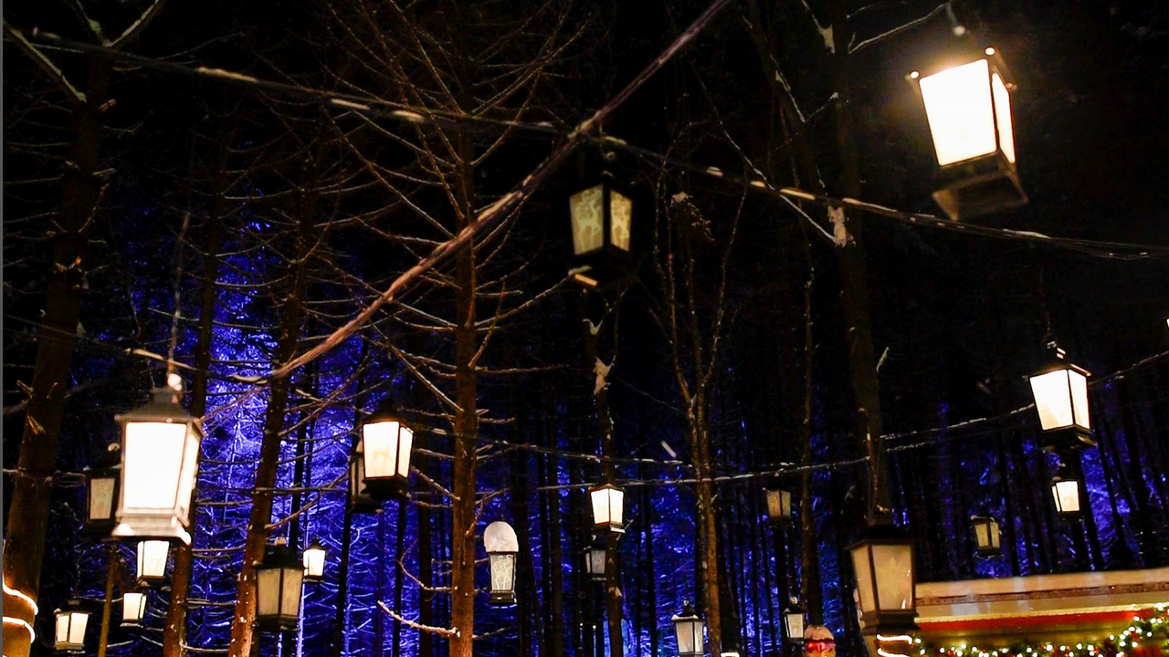 Le Woodooliparc de Scott vous offre une immersion féérique dans la magie de Noël