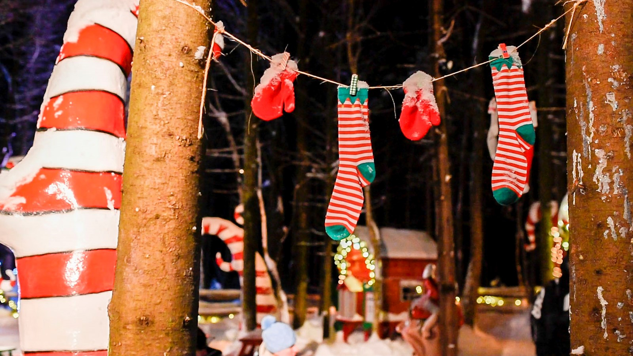 Le Woodooliparc de Scott vous offre une immersion féérique dans la magie de Noël