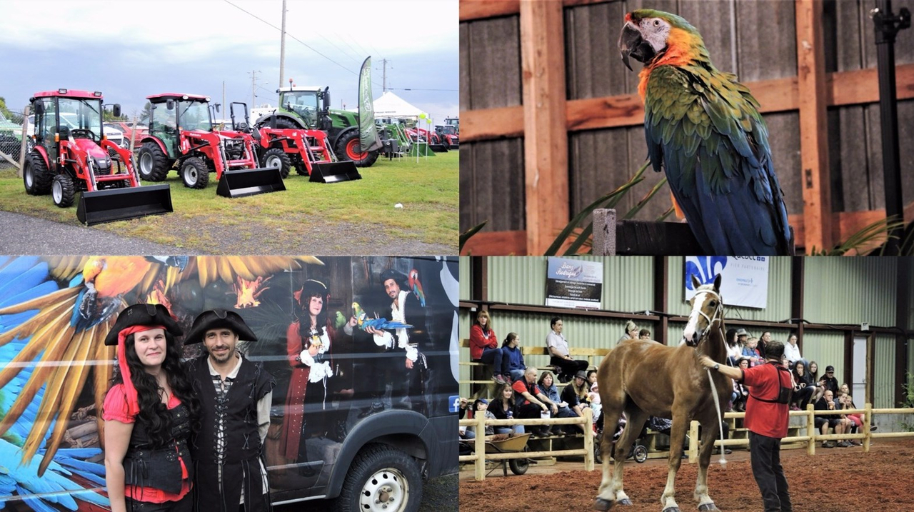 La 53e édition de l'Exposition agricole de Beauce se déroule sur le terrain de l'aréna de Saint-Honoré-de-Shenley du 9 au 13 août 2017.