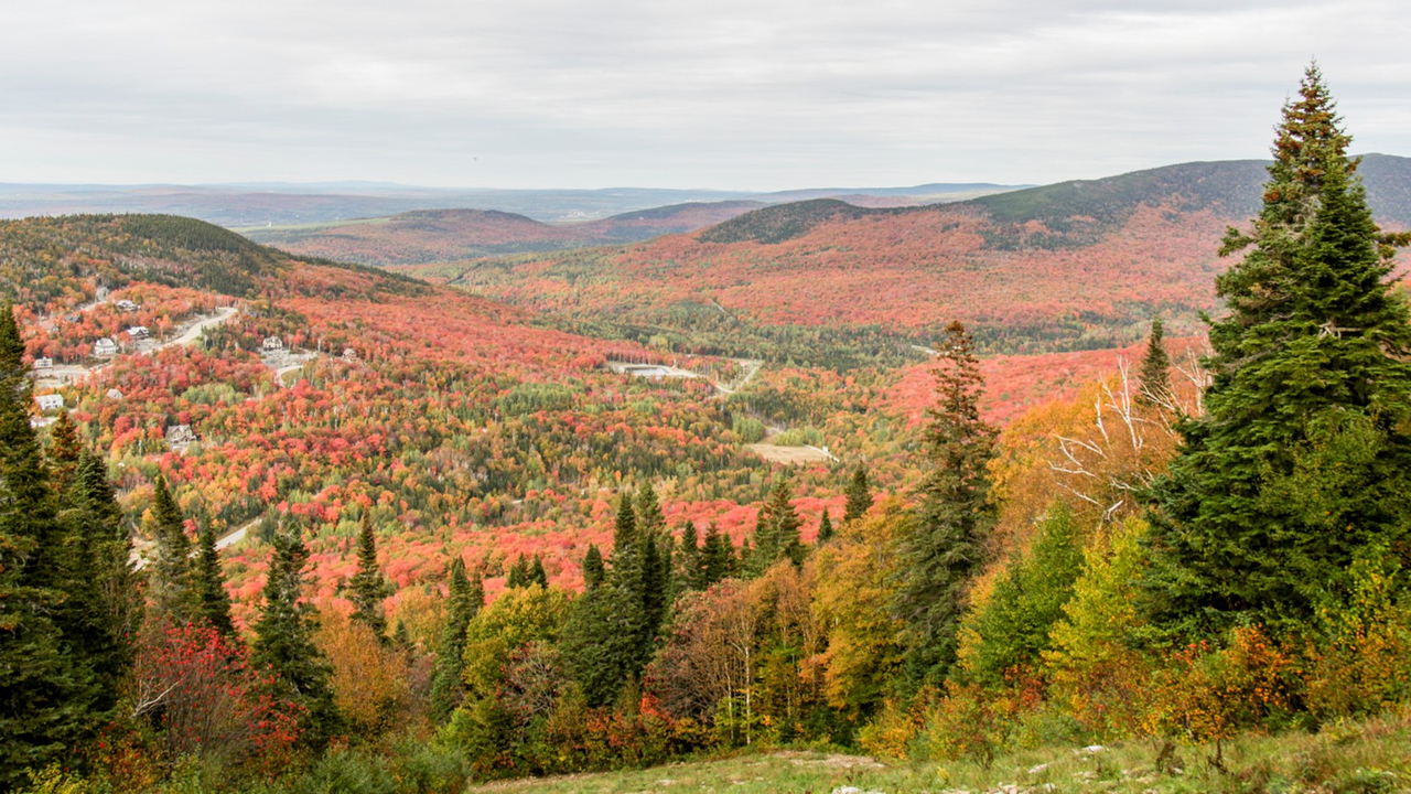 Toute l'équipe du Massif du Sud s'active à préparer au mieux la station pour l'hiver
