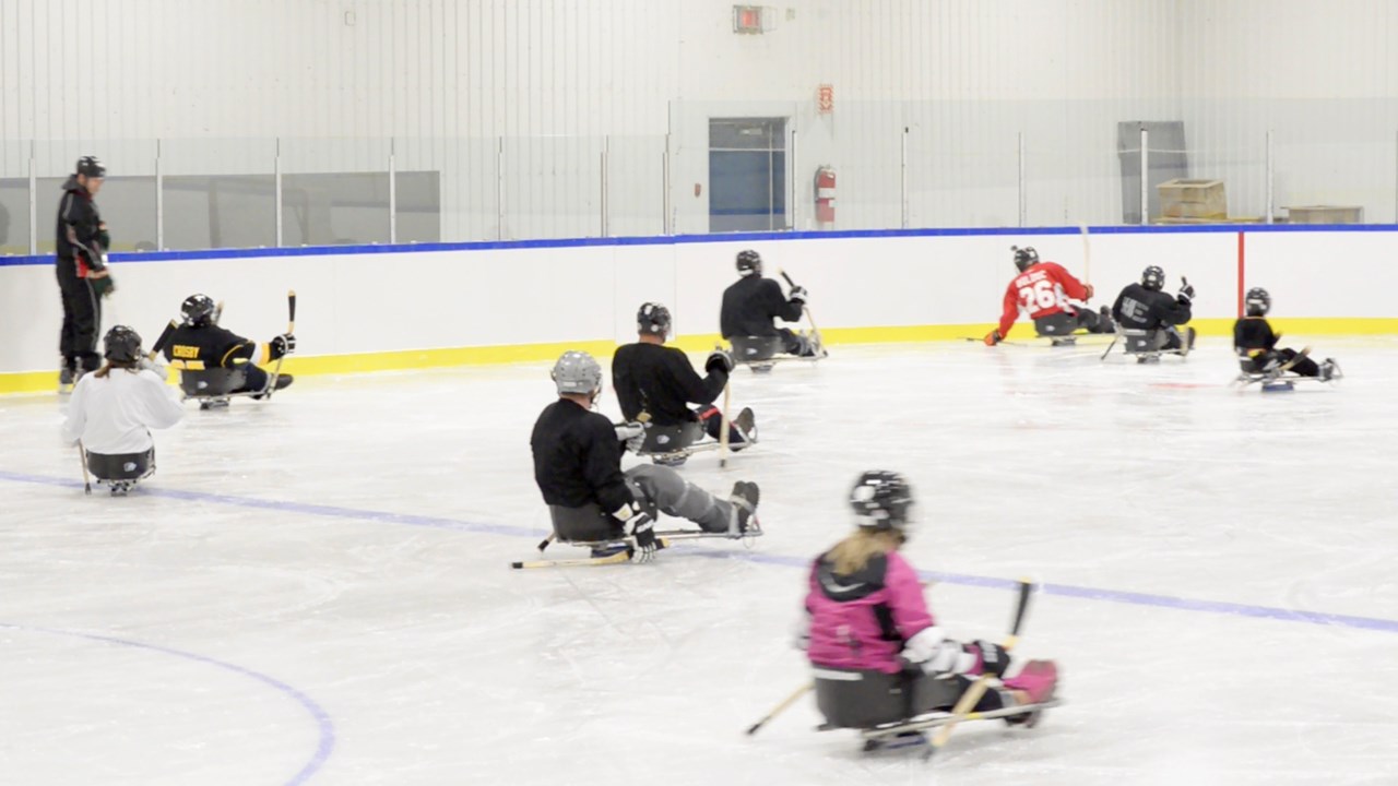 Initiation au hockey sur luge, un sport ouvert à tous qui abolit les handicaps