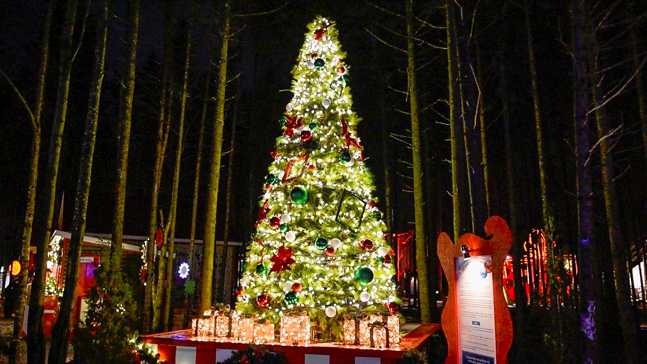 La féérie de Noël s'expose au Woodooliparc de Scott sous le signe de la nouveauté