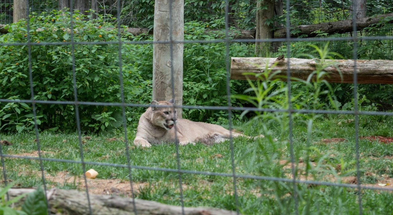 Le Miller zoo : une initiative hors du commun