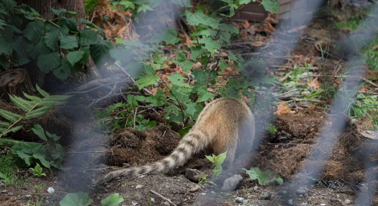 Le Miller zoo : une initiative hors du commun