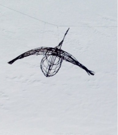 « Bernache » de Roger Audet