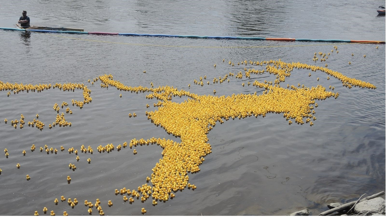 Le CNRB tient sa Grande course de canards Meubles & nous