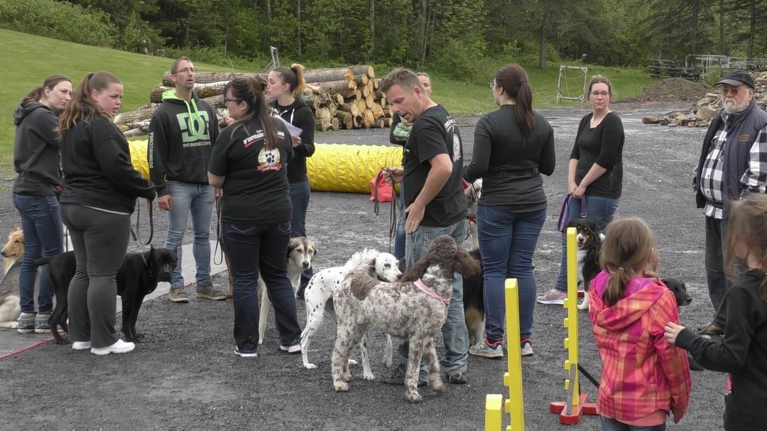 Normand DeLessard présente le spectacle de chiens savants de Saint-Simon-les-Mines