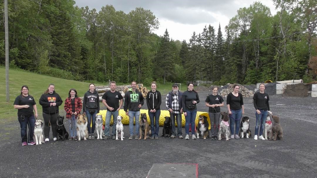 Normand DeLessard présente le spectacle de chiens savants de Saint-Simon-les-Mines