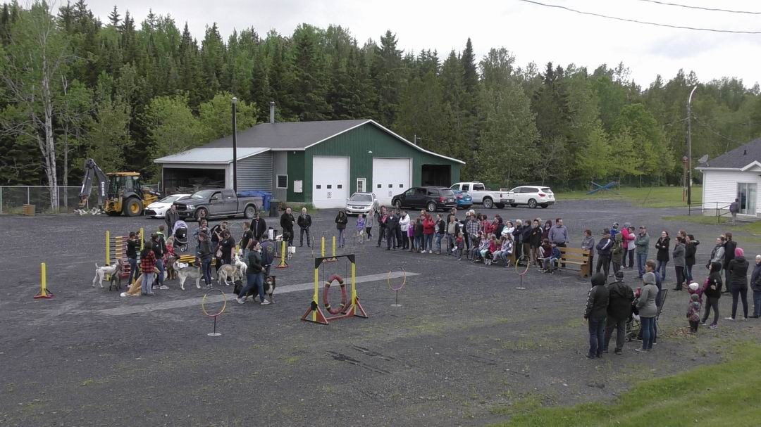 Normand DeLessard présente le spectacle de chiens savants de Saint-Simon-les-Mines