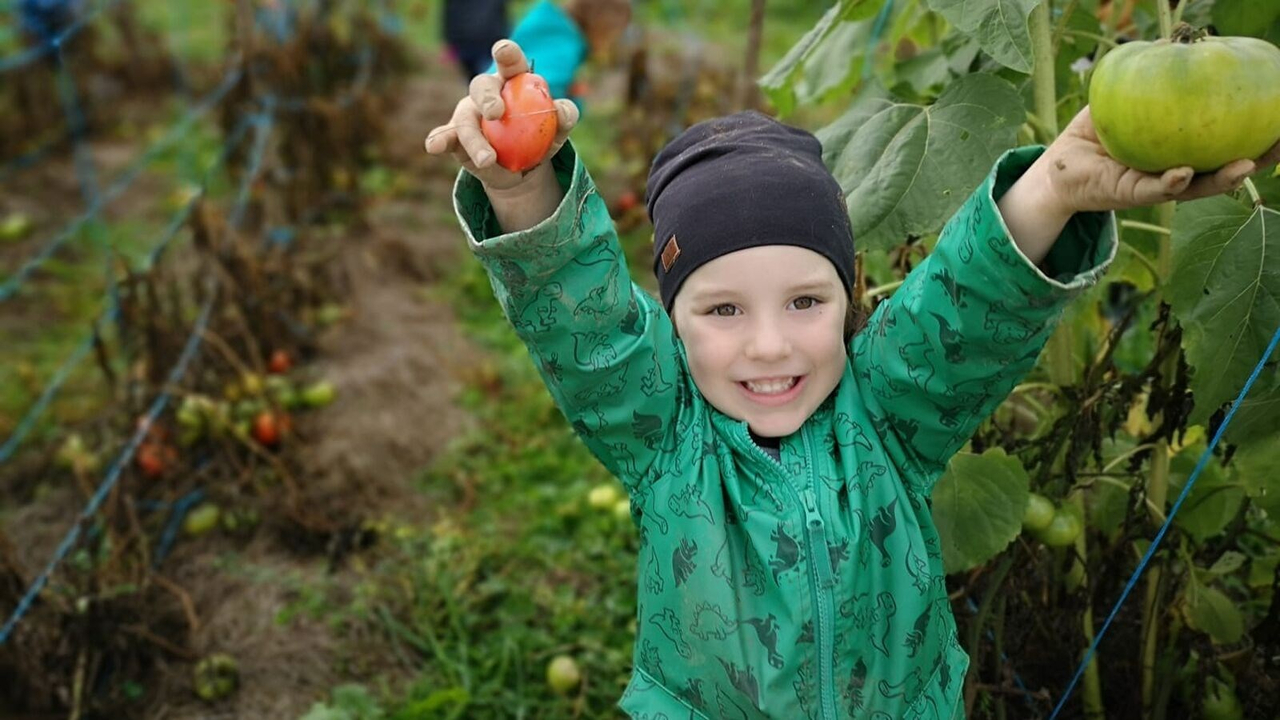 Les cuisines de Let's Go seront autosuffisantes en fruits et légumes en 2019