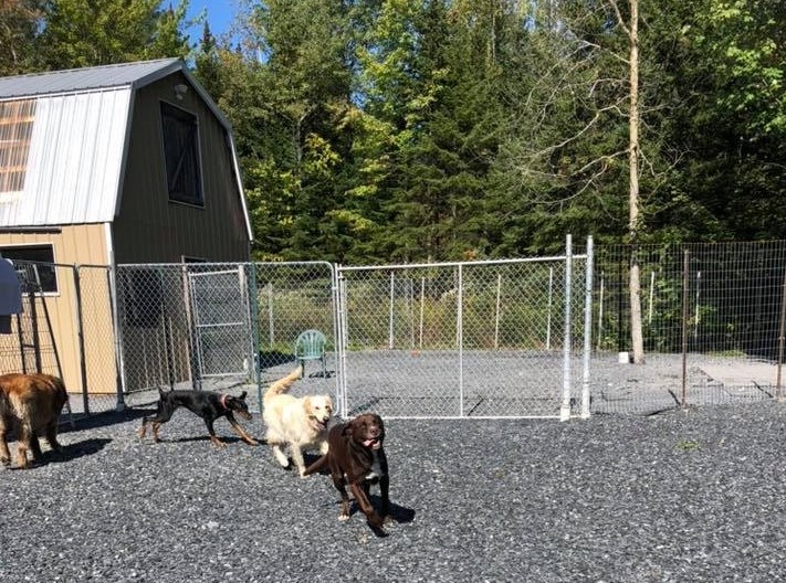 Normand DeLessard présente l'ouverture officielle de la garderie Le chien d'or