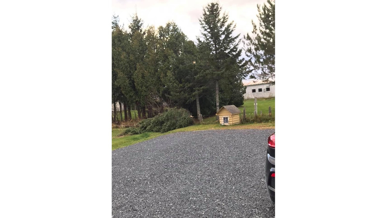 Vos photos de la tempête automnale