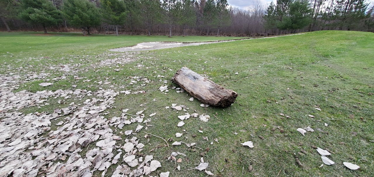 Photo-reportage : les dégâts au Club de golf Saint-Georges